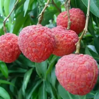 ʵأϹ10