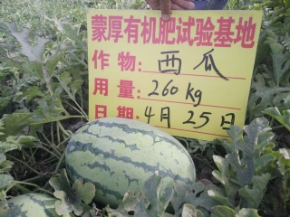 ʵأϹࣩ